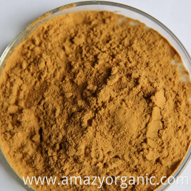 Wholesale Organic Plant Reishi Mushroom Extract